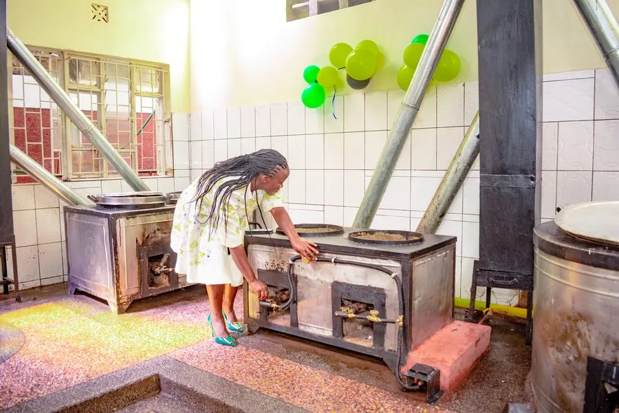Installed LPG cooking equipment in everyday kitchen use